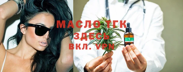 индика Мегион