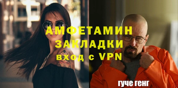 индика Мегион