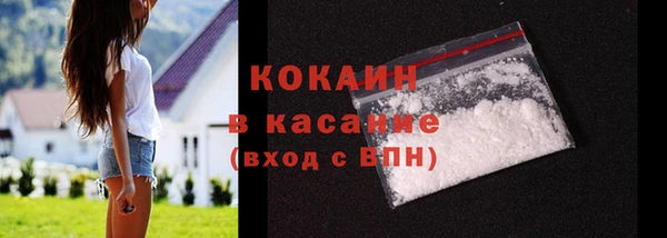 индика Мегион