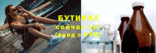 прущие грибы Медвежьегорск