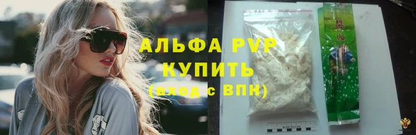 индика Мегион