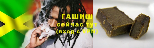 прущие грибы Медвежьегорск