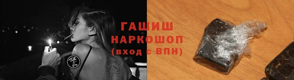 индика Мегион