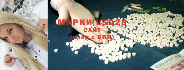 индика Мегион