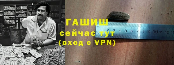 прущие грибы Медвежьегорск