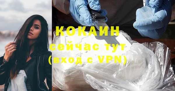 соль ск Медногорск